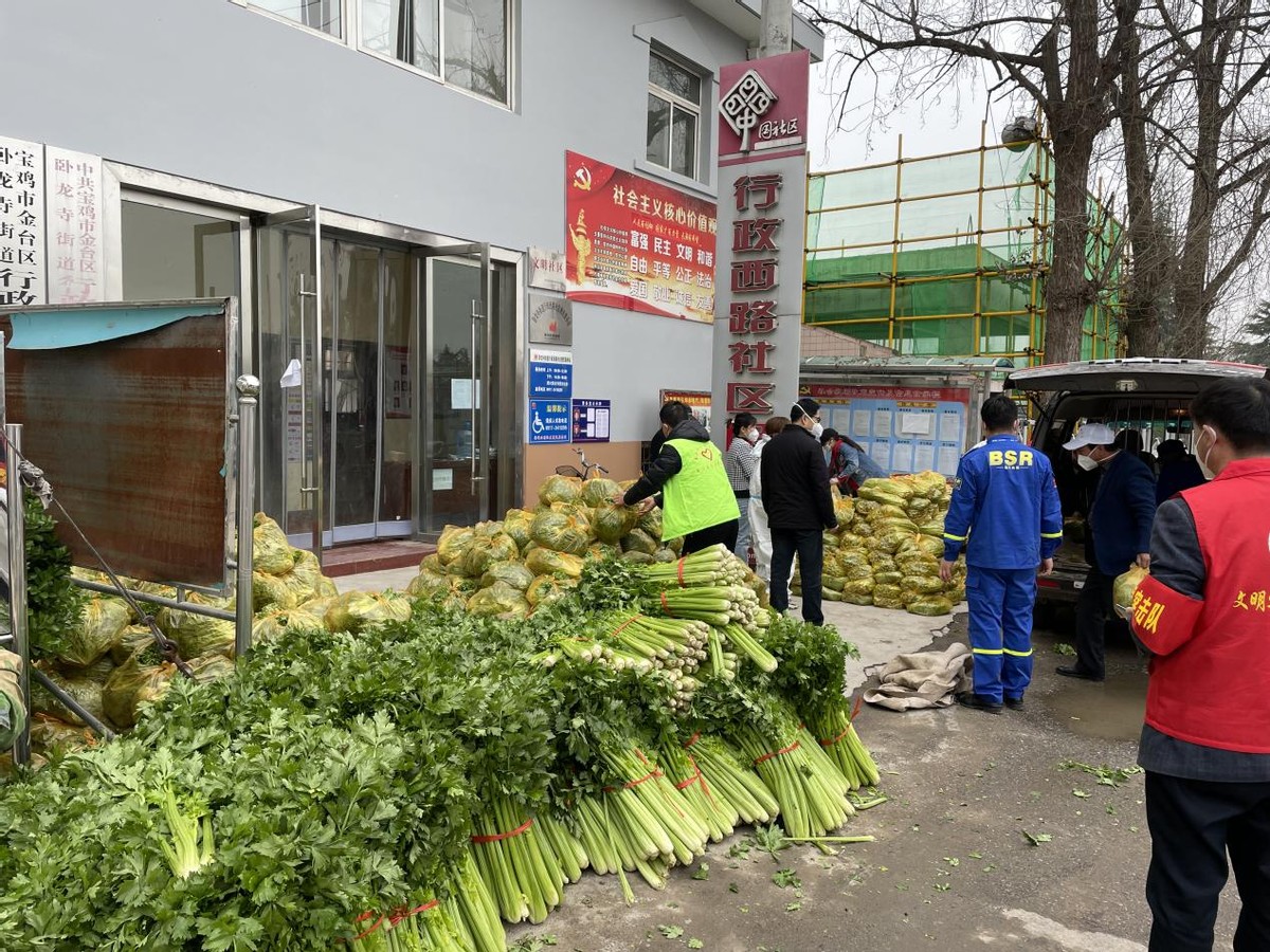 ������顪���������ж��ж�����������