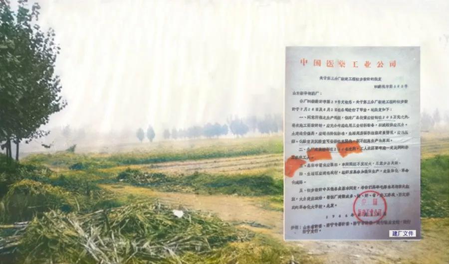 山东省济宁市西郊的李楼和鲁抗医药的悠悠岁月