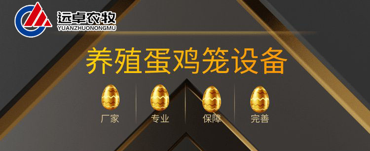 蛋雞養(yǎng)殖場已從50萬個左右降到目前的20萬個左右未來或?qū)⒗^續(xù)減少