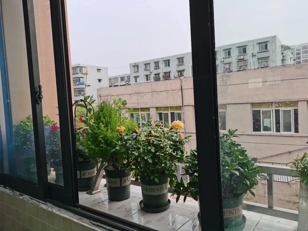 书香润泽生命 阅读成就未来｜记成都市双流区棠湖小学之书香班级