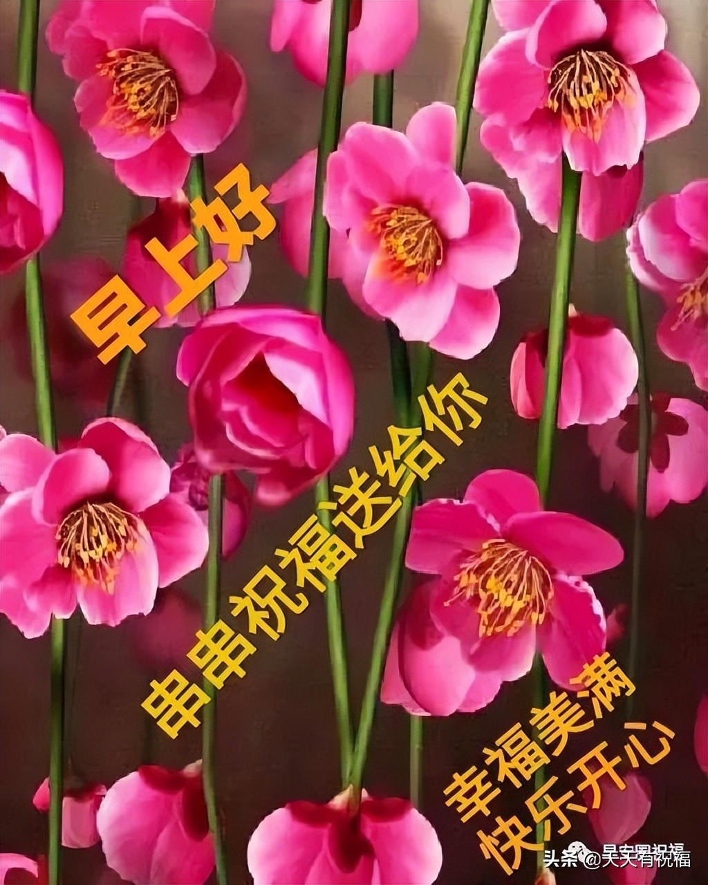 唯美暖心祝福短句图片(清晨唯美漂亮祝福图文短句)