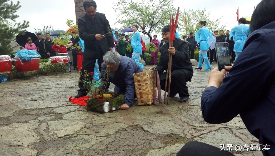 上世纪发现160年老山参，重达九两二钱，专家：价值两百万