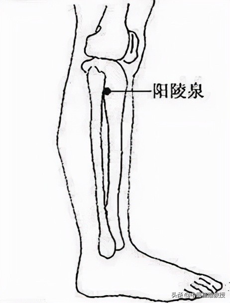 惊蛰 | 万物生发，正是一年中养阳气、顺肝气，不容错过的好时节