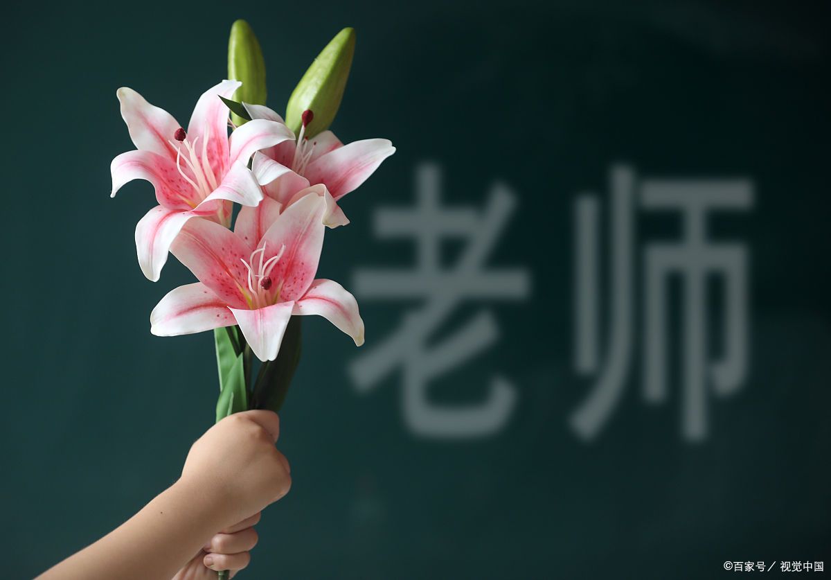 师范类专业：读哪个学科，会有较高的含金量和就业前景？