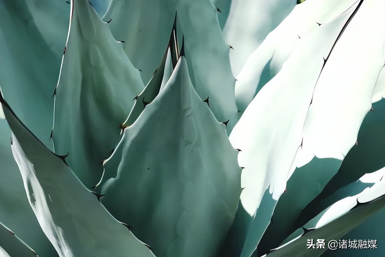 网络中国节·端午 | 10首关于端午节的诗词，你知道多少？