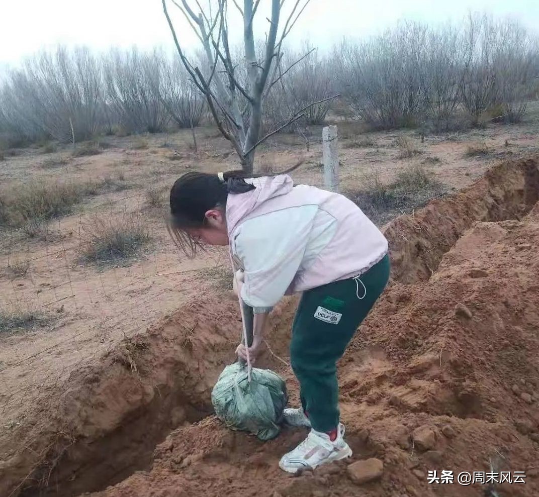 节能有我 绿色共享,节能有我绿色共享内容