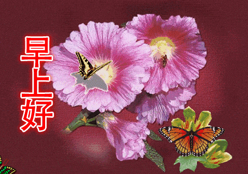 早上好漂亮的表情动态图 放下压力，活得轻松；放下烦恼，活得幸福图片
