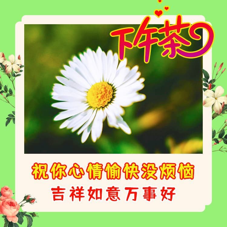 漂亮的下午好祝福美图带字，祝福朋友吉祥如意万事好