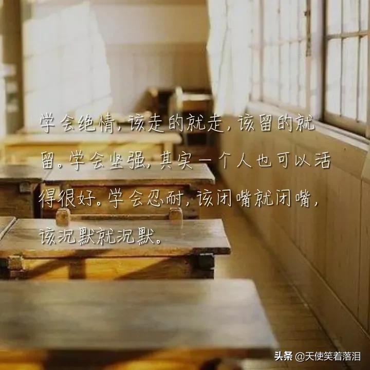 简短好句分享(消失宾妮经典语录)