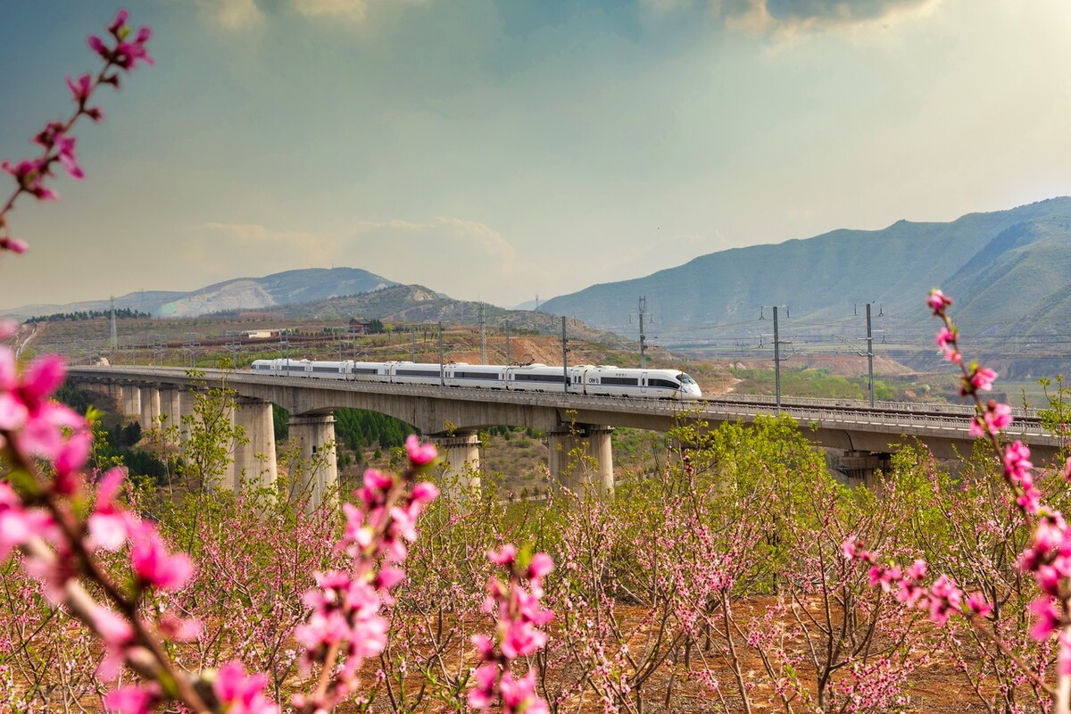爱伴一程，念随一生，朝思暮想的你，是我深爱的永恒