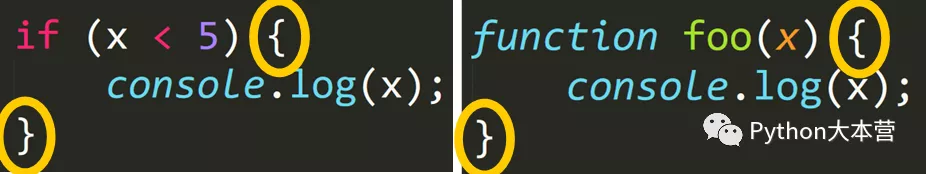 两种流行的编程语言 Python 和 JavaScript 的主要区别是什么?