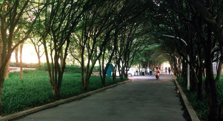 刷屏！多部热门影视剧在此取景，湖北“高颜值”大学火了，风景绝美！