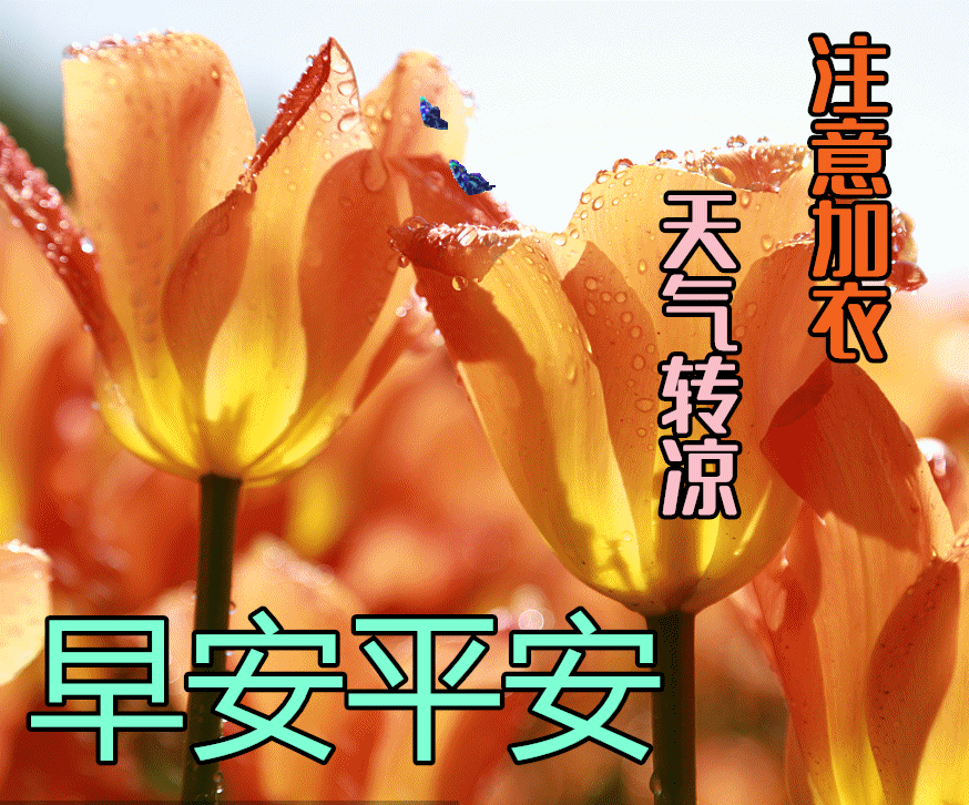 平安夜图片动态祝福平安顺利图片（平安夜的动态图片和祝福语）