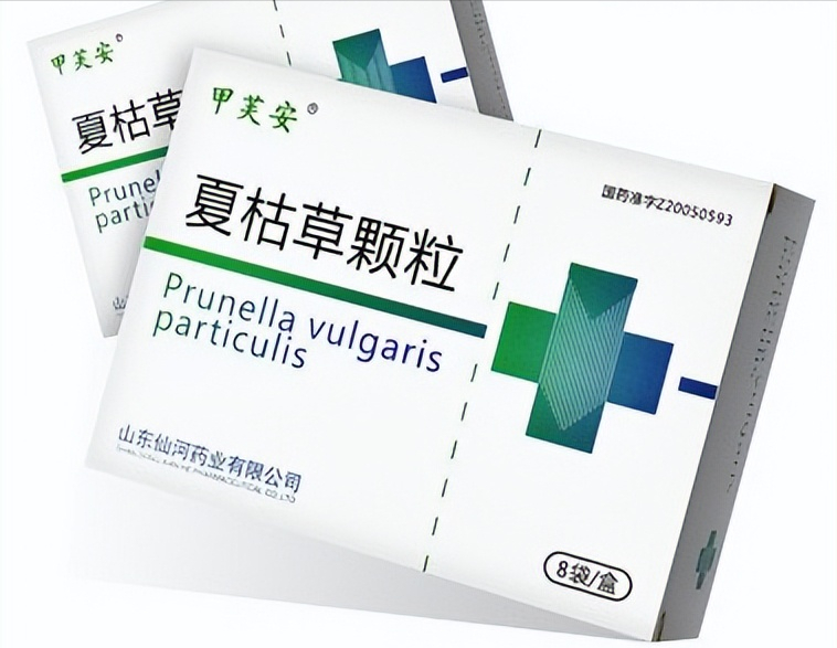每日一味抗癌中药——夏枯草，清火明目、散结消肿，用于多种肿瘤
