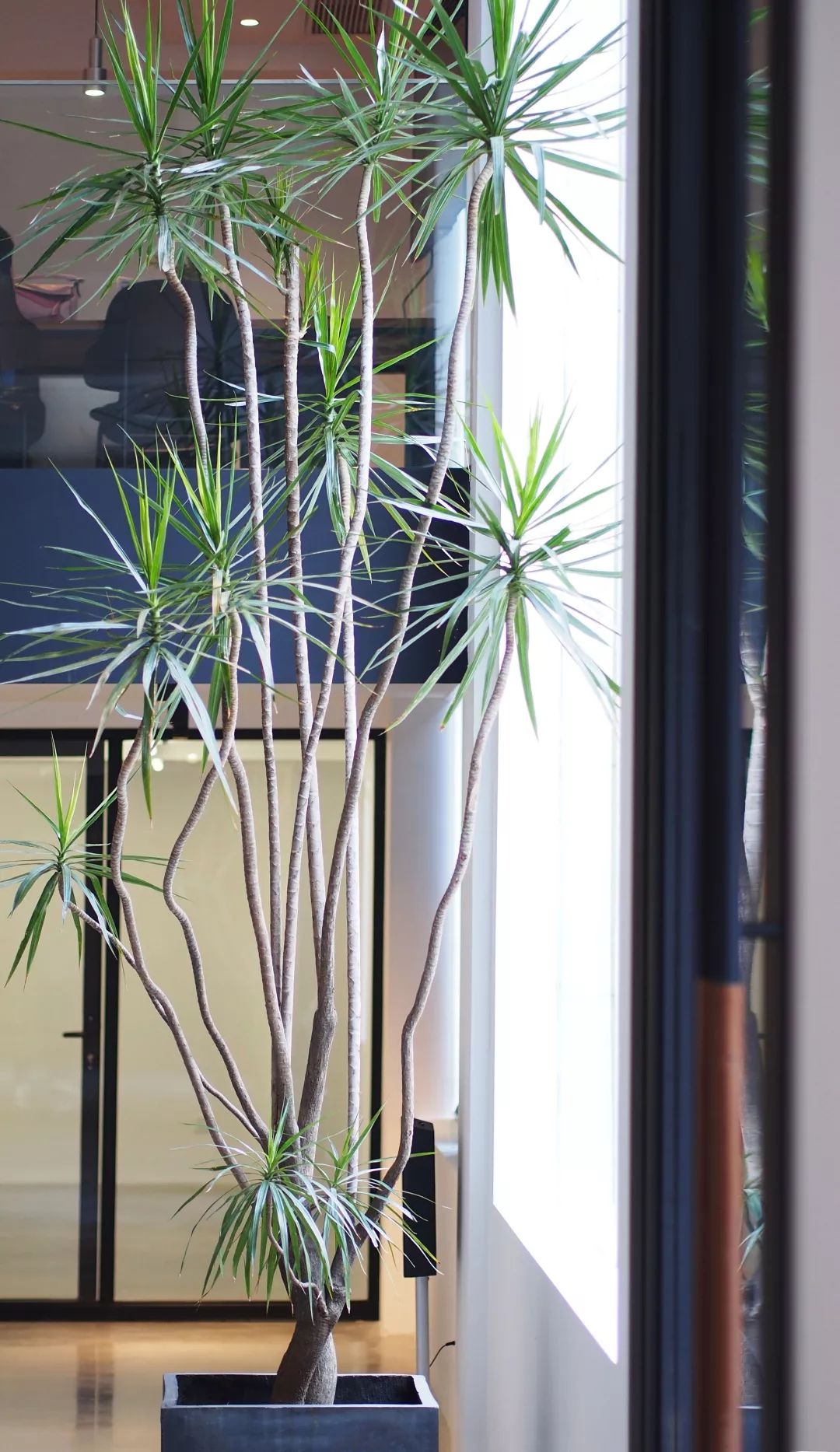 杭州吴越画室：2023届「定制班」招生简章，开启艺术的大门