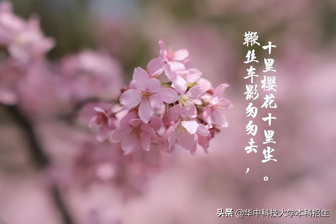 急速升温！这个夏天，华中科技大学将成全国“最火热”大学！吸引世界目光！