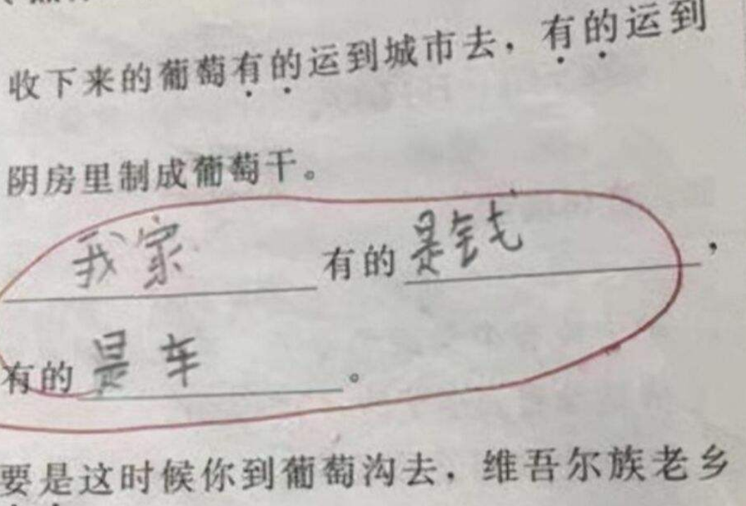 认真写作业的重要性