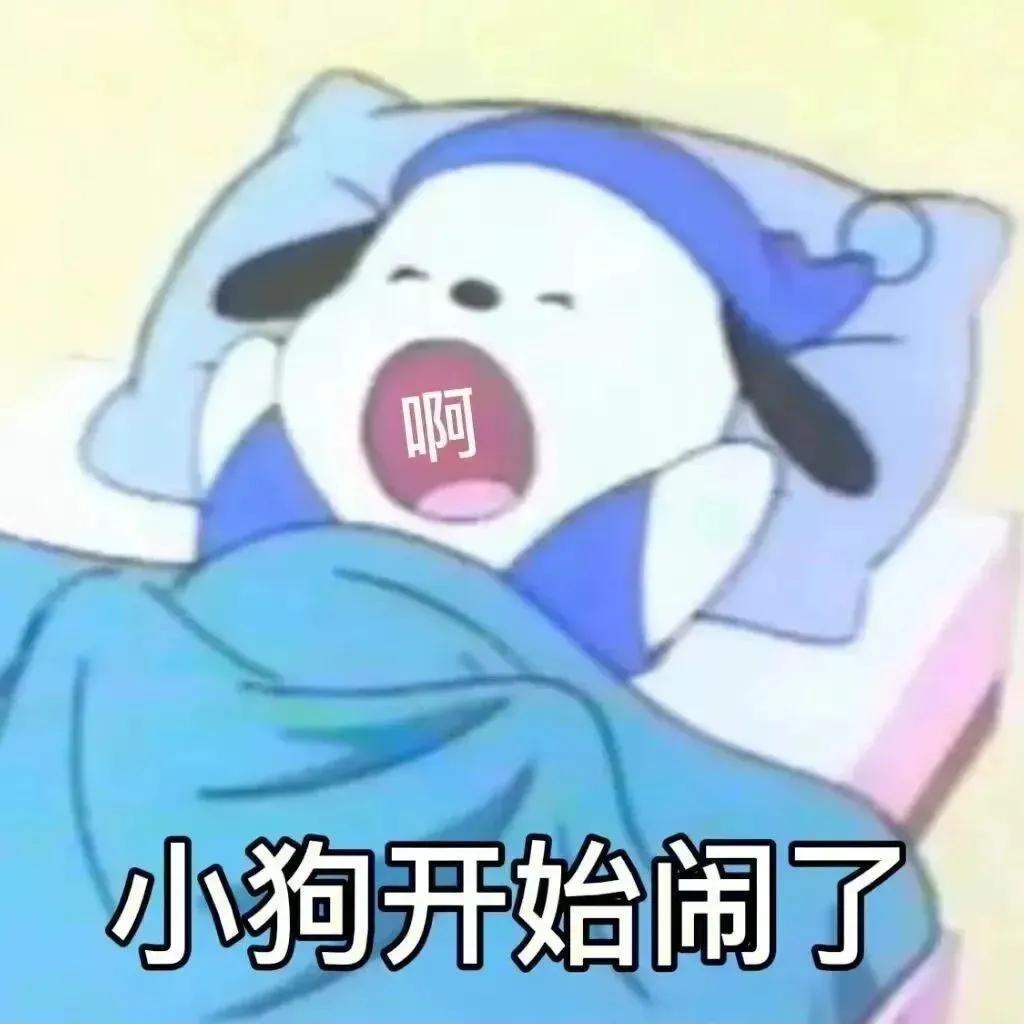 小狗开始闹了