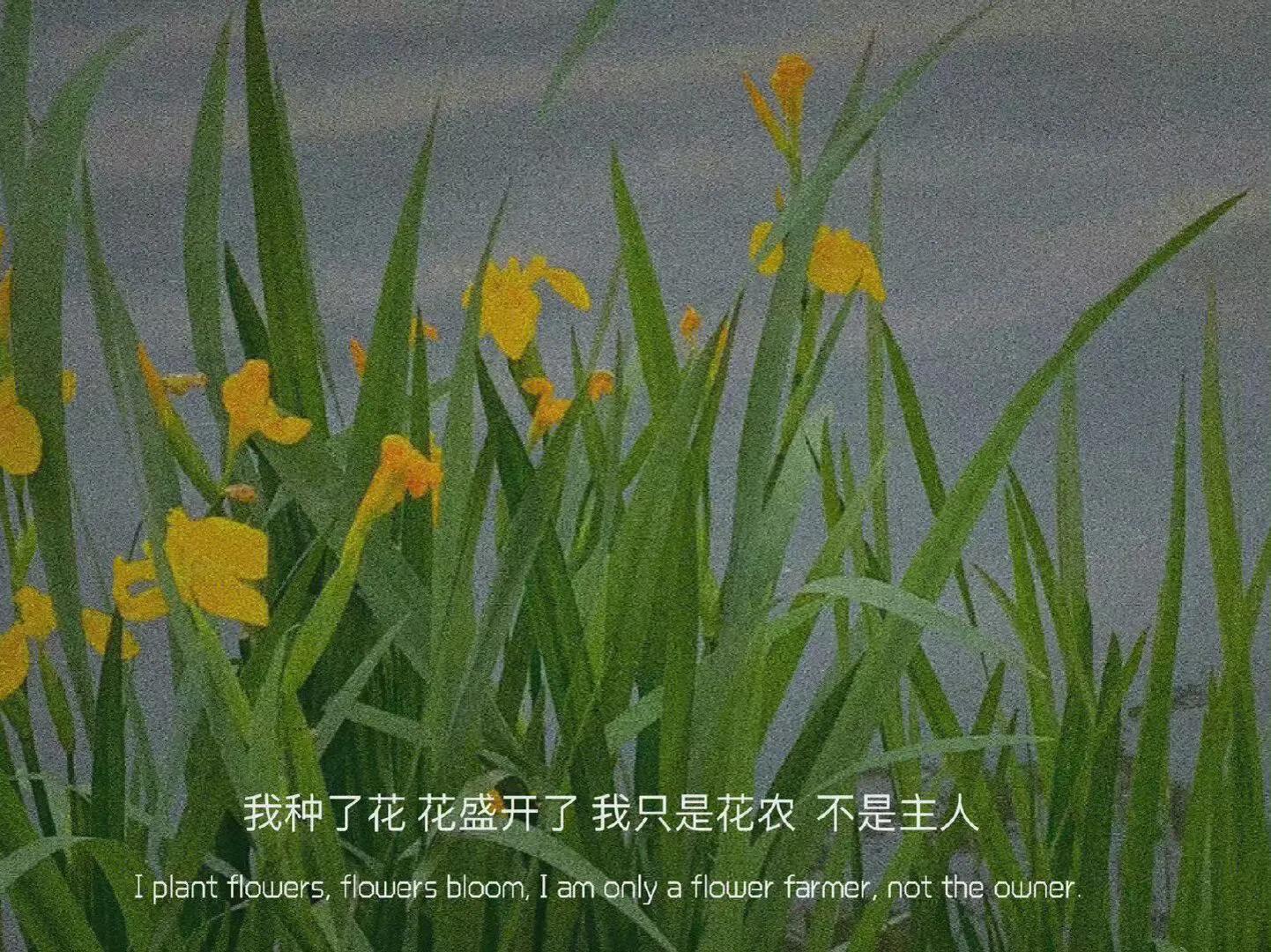 干净小众有品味的背景图