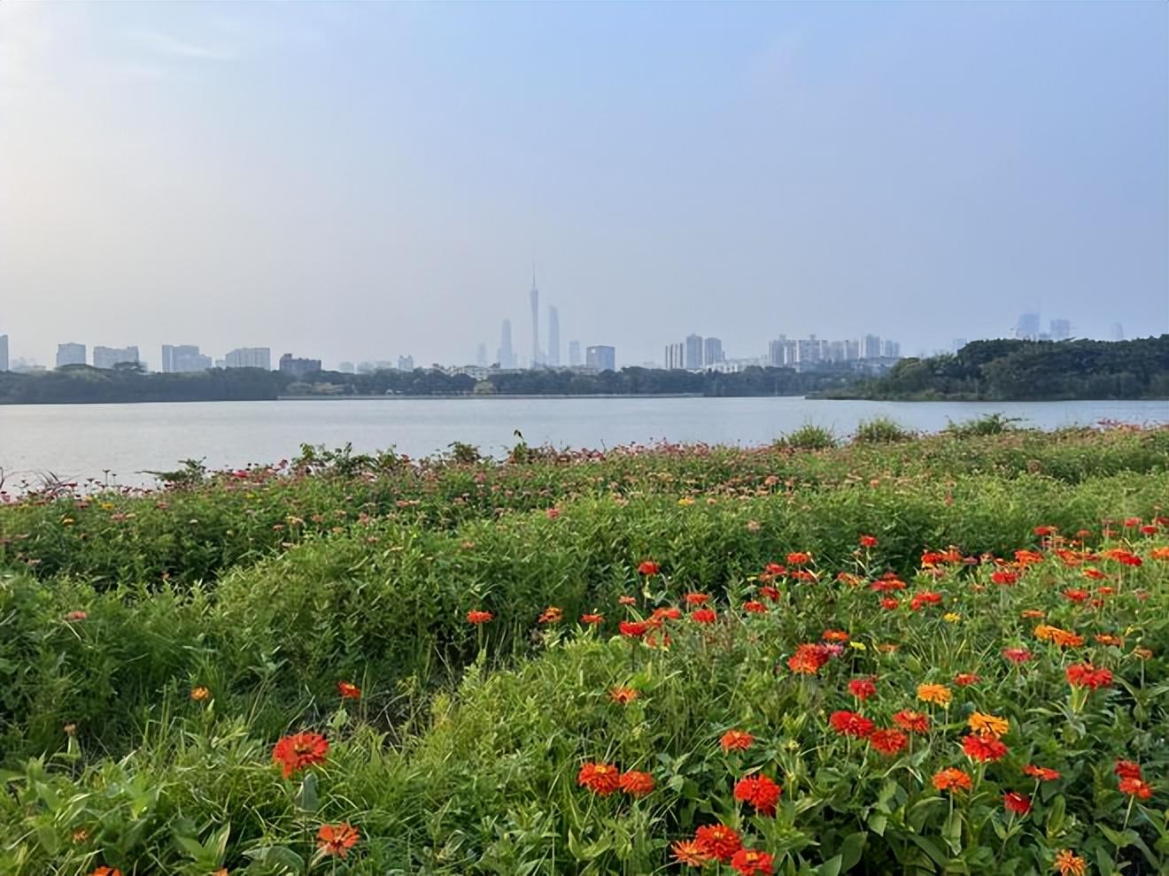 广州人到底怎么花钱？可以买“贵东西”，但不可以买“贵的东西”
