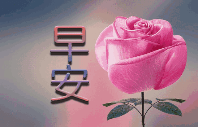 微信很漂亮的早上好祝福语动图 朋友圈最美早上好动态表情图片图片