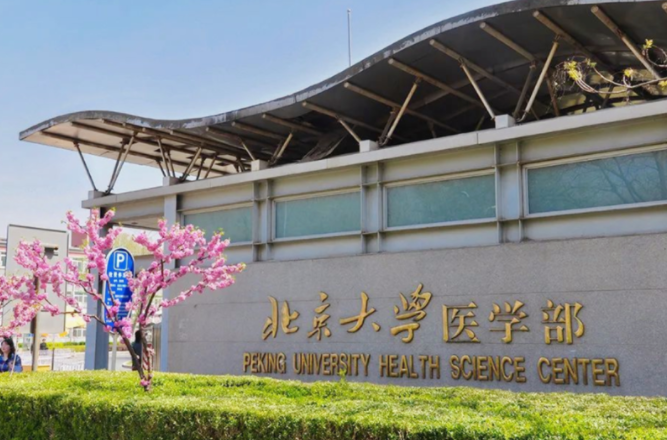 全国大学预防医学排名（临床医学金字塔排名已更新）