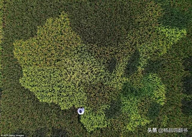 「摄影」看看:这些震撼人心的摄影作品