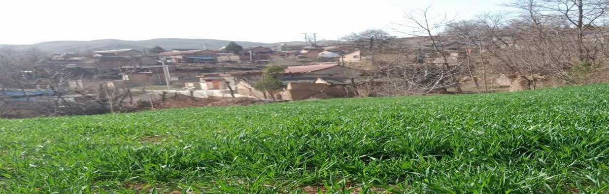 帮扶担使命 春耕忙行动&mdash;&mdash;秦州区华岐镇刘杜村工作队工作记实