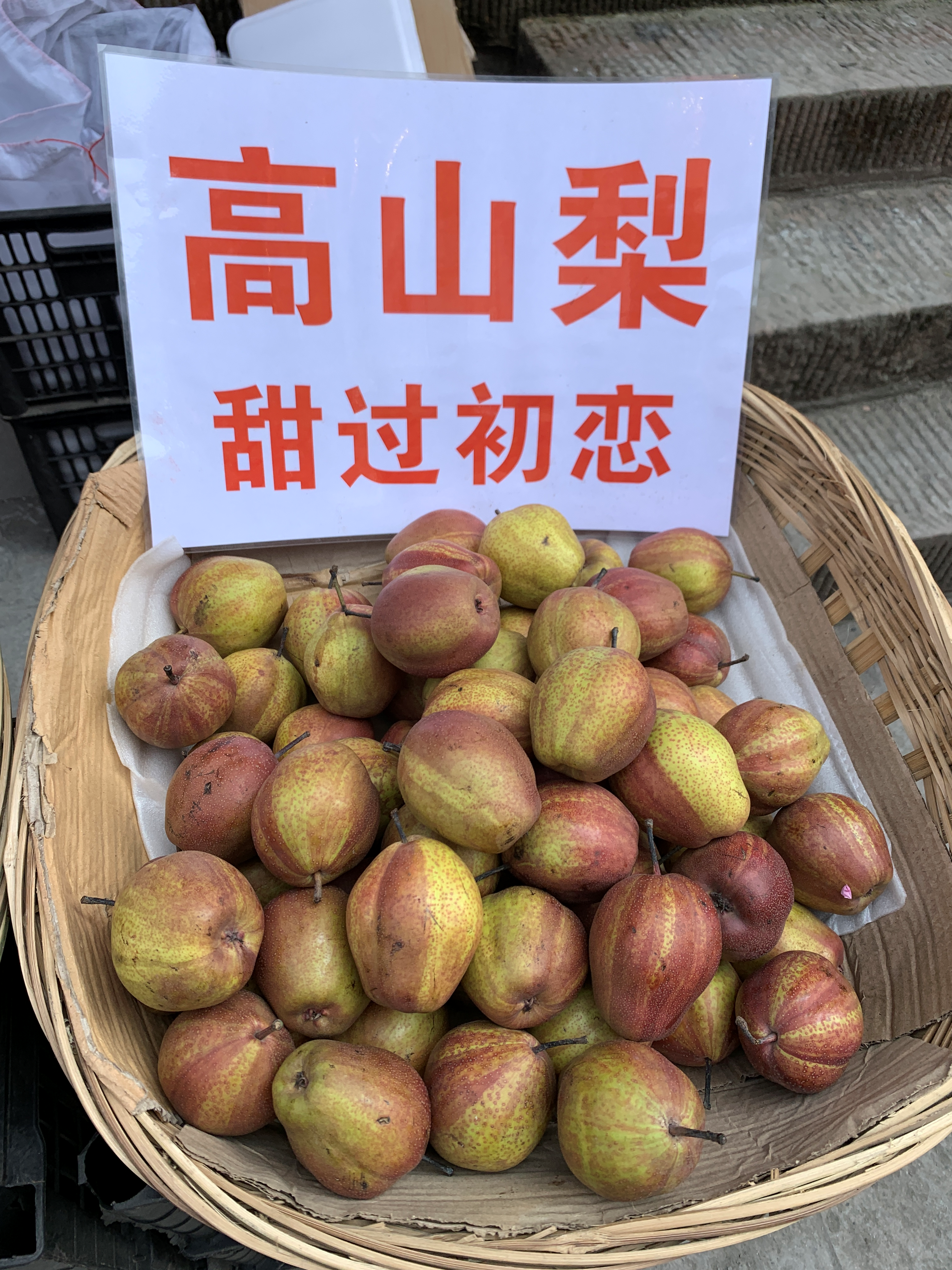 成都周边周末亲子游 逛古镇品美食 游竹海