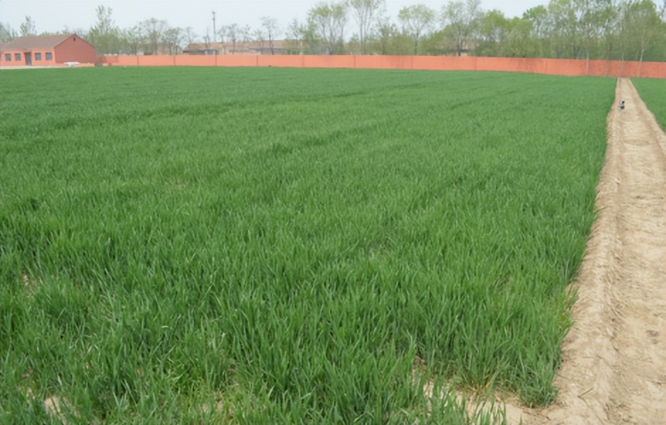 重大突破：全球第一组以中国企业名称命名的生物菌种诞生