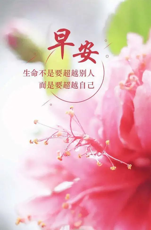「2022.05.23」早安心语，正能量问候语 激励人心的朋友圈短句文案