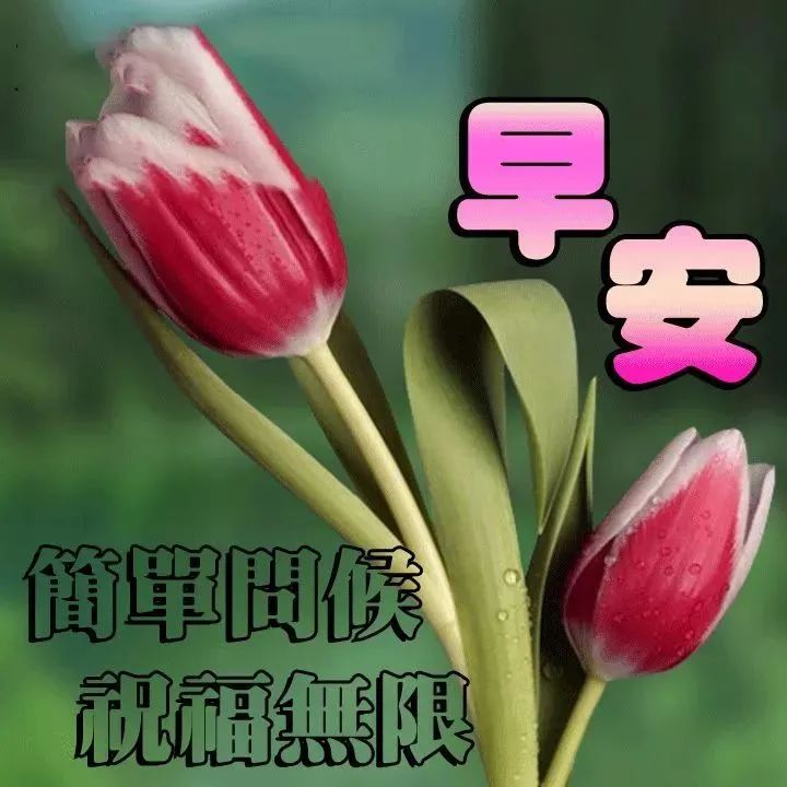 星期三早上好祝福语 问候语表情图片 人不老心情好 好运好事跟你跑图片
