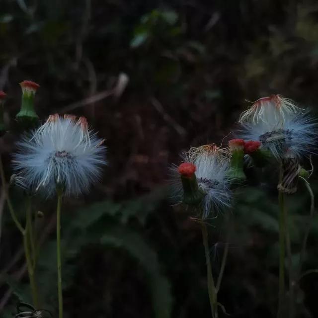 段子大全(爆笑幽默段子大全，让你一次笑个够)