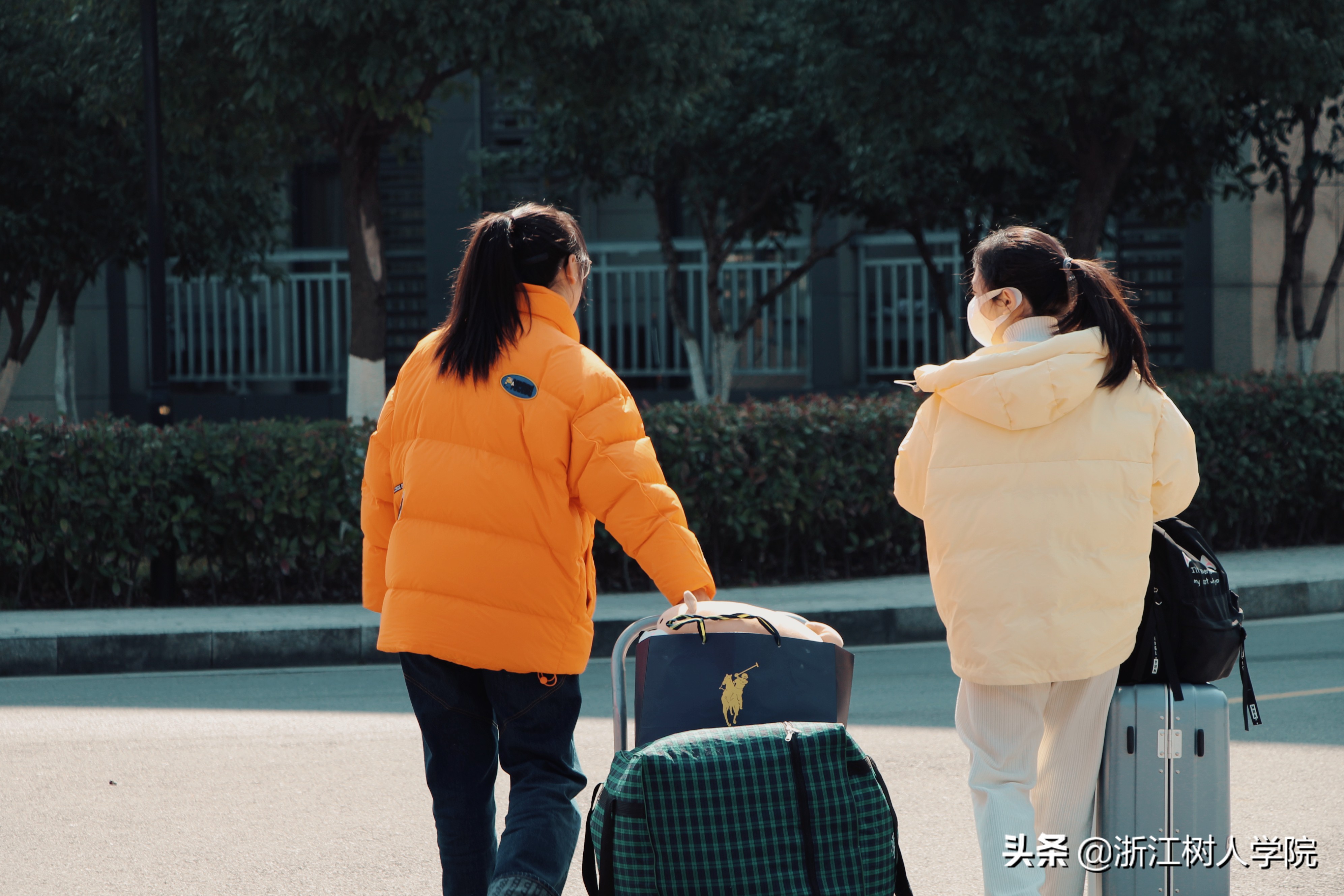 开学日｜春暖花开，新学期新征程，元气满满回树人