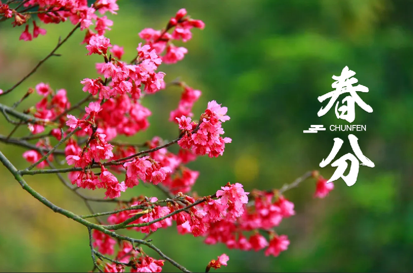 春分 | 春半日暖 昼夜平分，十首春半的诗词，带你览尽美好春光