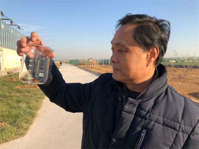 辞去公务员上山养蟑螂，10年养殖40亿只，李延荣如今收入百亿