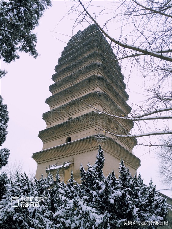 一下雪，西安就穿越了几千年！随手一拍，便是绝色长安