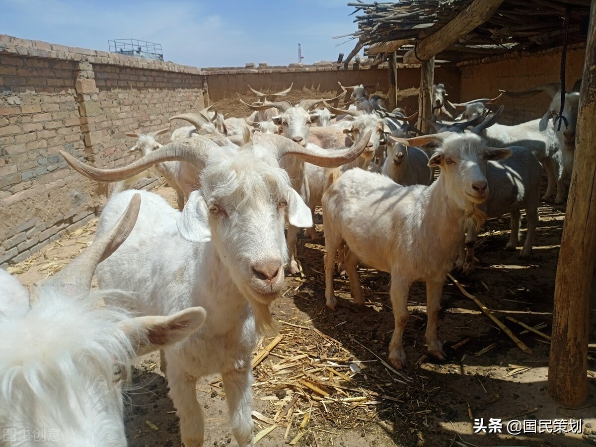 2022年，批准创建40个优势特色产业集群，建议收藏