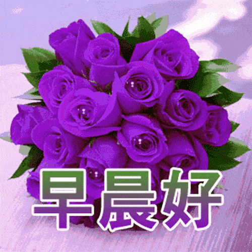 早上好的图片带字，最美早上好图片字鲜花，心之所愿、无所不成图片