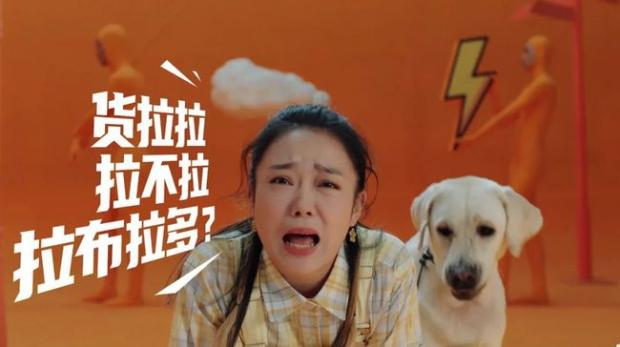 2021年度创意回顾