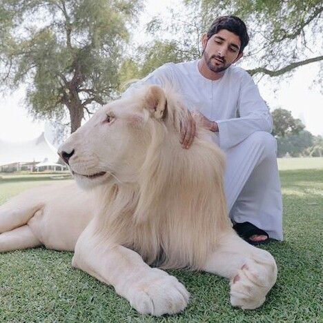 上天入海的有钱人：越富有，越爱冒险？