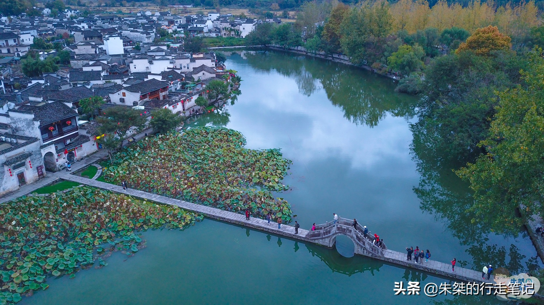 阜阳十大特产美食：安徽五大名吃荟萃，地方特色风味尽显