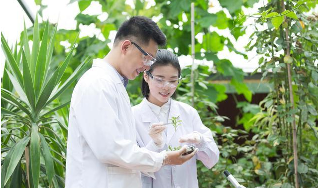 第一个:农学专业