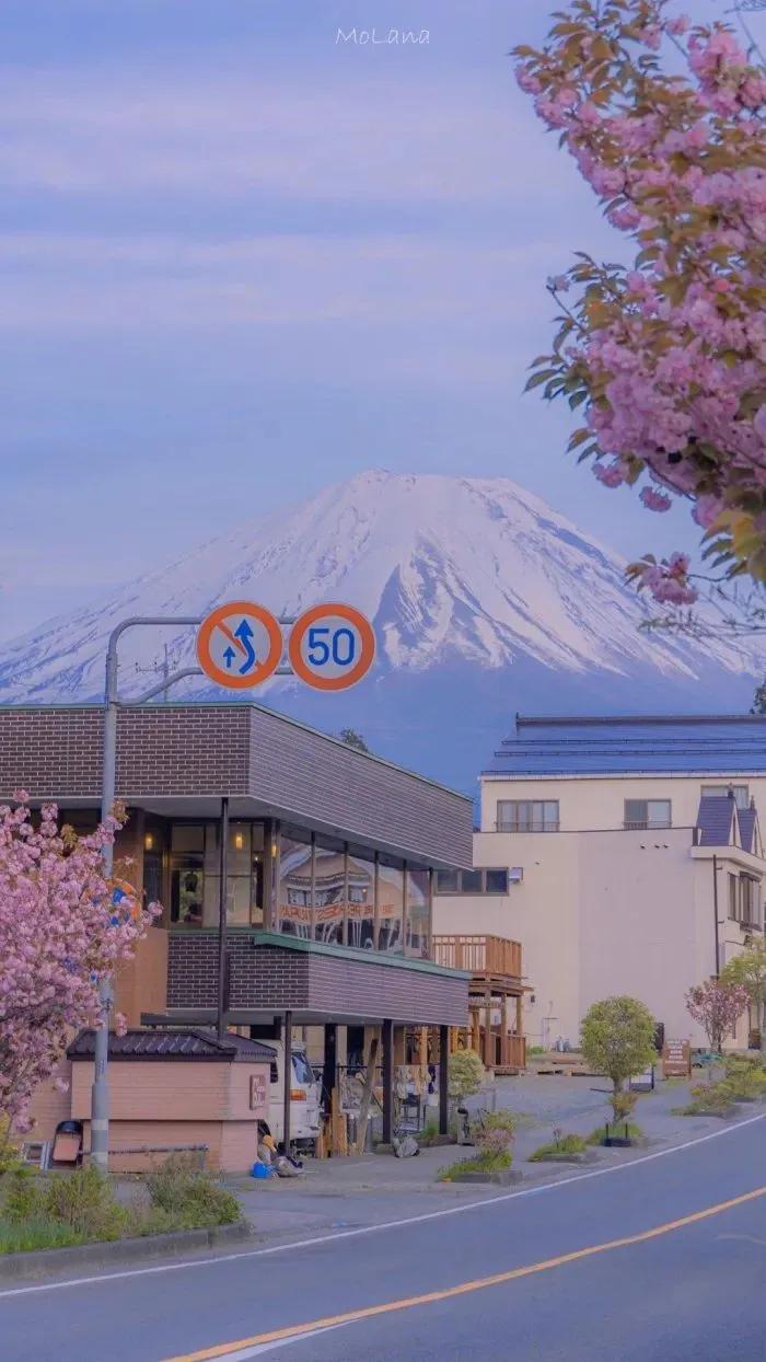 关于毕业的文案