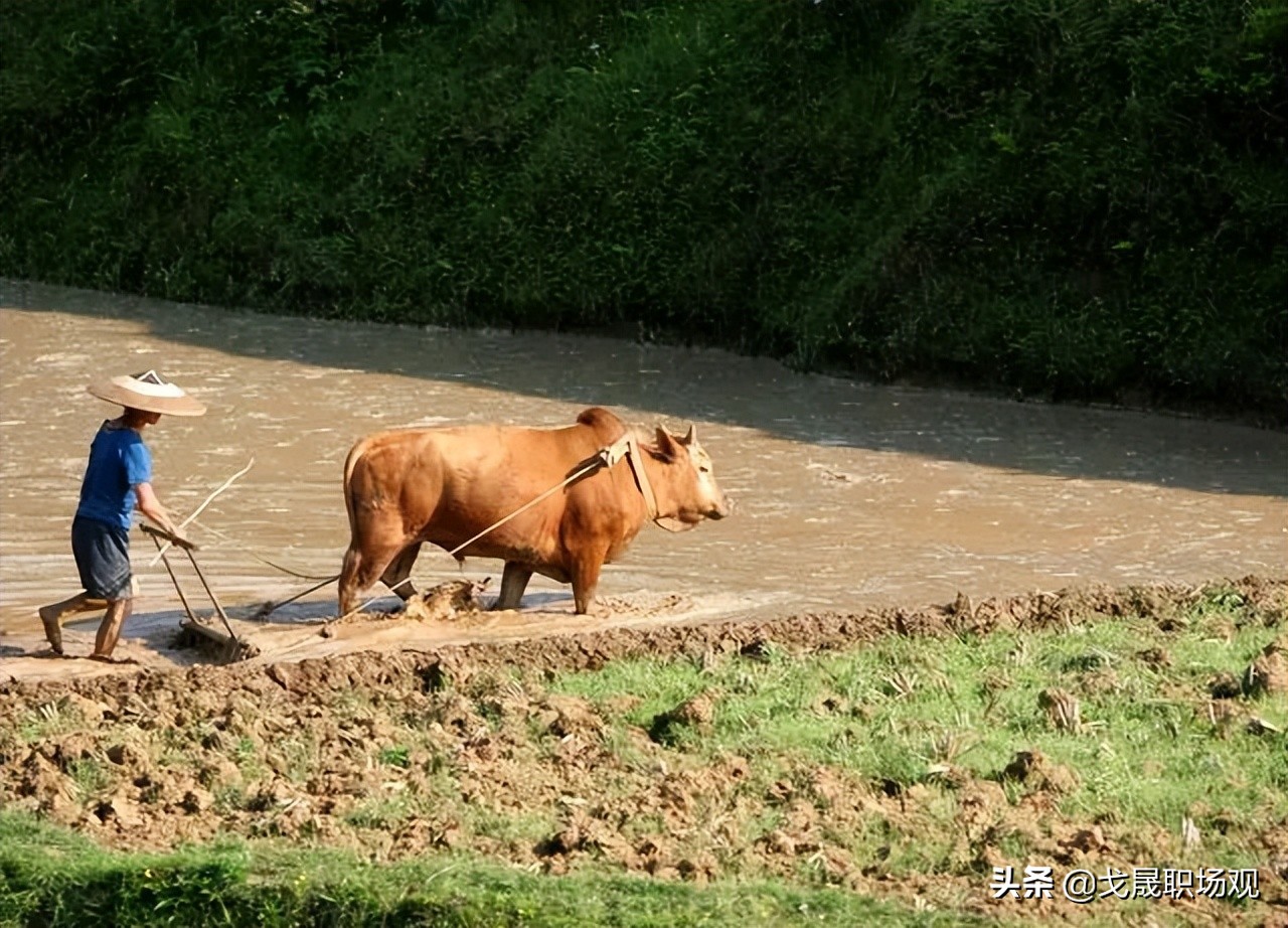 想改变命运，到底该怎么做？成功人士都在这6点上下足了功夫