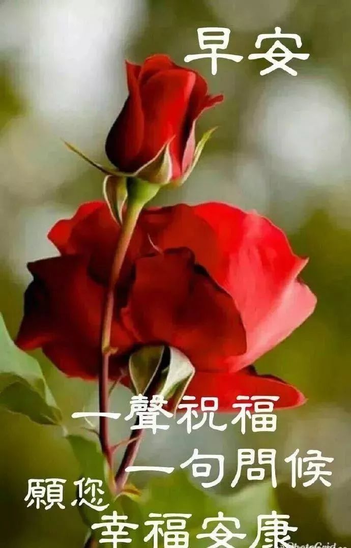 新周早上好祝福语图片大全，愿一个祝福带给你一个新的起点图片