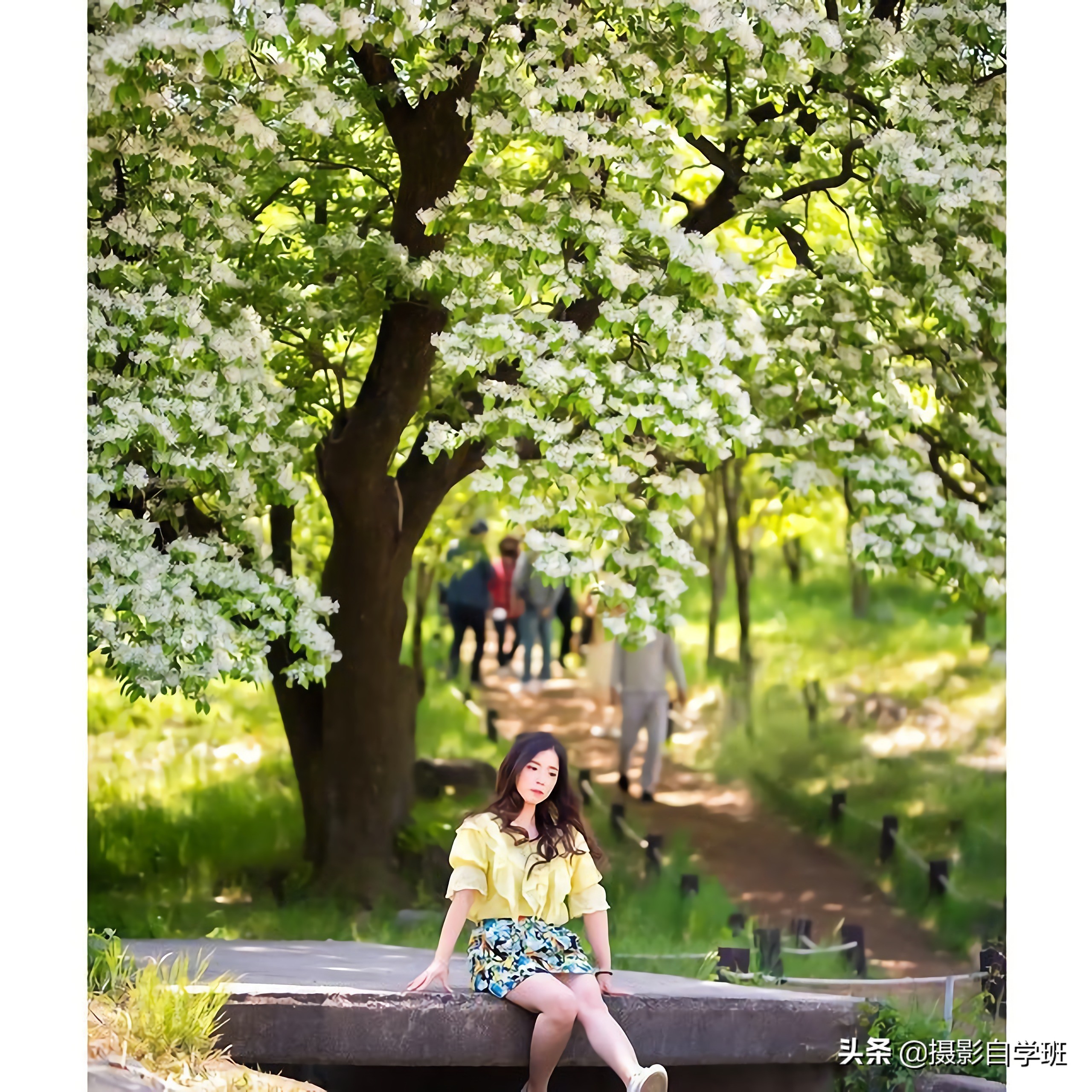 照片要想美，這6個拍照技巧你得會，優(yōu)雅自然拍出大長腿