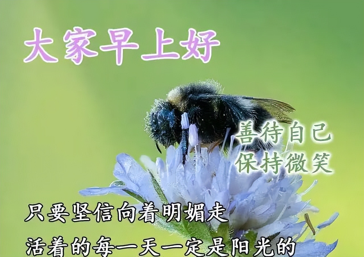 微信早安表情包大全 快乐永不老，健康才是宝，善待自己，保持微笑图片