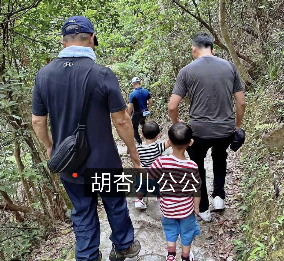 胡杏儿丈夫周末带儿子外出就餐，兄弟俩吃出表情包一脸满足