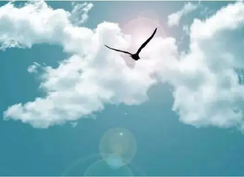 2018年江苏6岁女孩舞蹈课后瘫痪，妈妈看完监控，起诉同学和机构